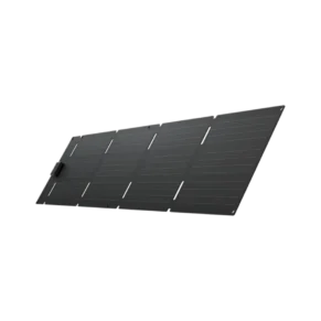 EcoFlow 60W Portable Solar Panel