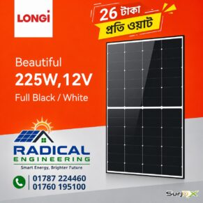 LONGi 225W 12V Horizon Monocrystalline Solar Panel - Gallery 1 - SurjoX