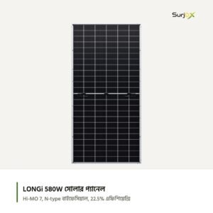 LONGi Hi-MO 7 ডাবল-গ্লাস বাইফেসিয়াল সোলার মডিউল, অফিসিয়াল ছবি