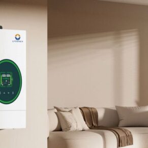 LVTOPSUN LVTS-4KW-HYD 4kW Hybrid Solar Inverter - Gallery 1 - SurjoX