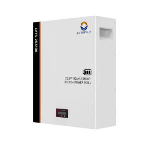 LVTOPSUN LVTS-256100 25.6V 100Ah 2.56kWh LiFePO4 Battery