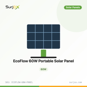 EcoFlow 60W Portable Solar Panel
