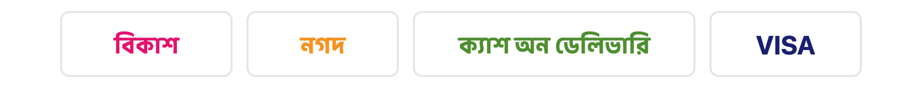 বিকাশ, নগদ, ক্যাশ অন ডেলিভারি, ভিসা