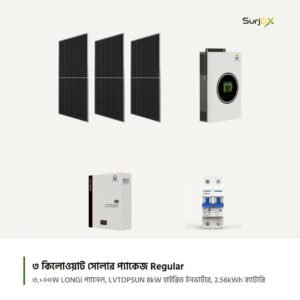 ৩ কিলোওয়াট Regular হাইব্রিড সোলার প্যাকেজের যন্ত্রাংশ: LONGi 620W সোলার প্যানেল, LVTOPSUN LVTS-4KW-HYD হাইব্রিড ইনভার্টার, LVTS-256100 লিথিয়াম ব্যাটারি ও ANDELI ডিসি সার্কিট ব্রেকার